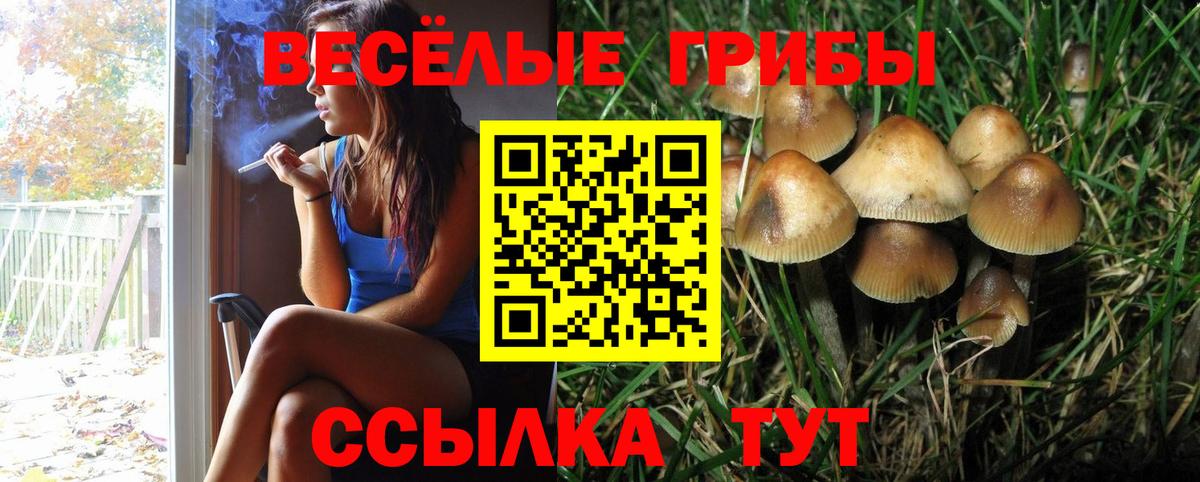 Галлюциногенные грибы GOLDEN TEACHER Полысаево