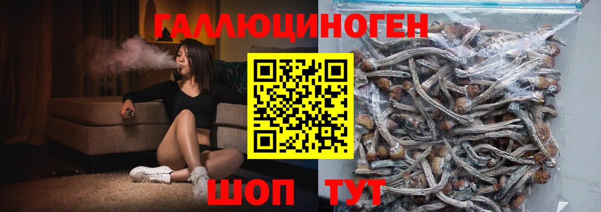 Галлюциногенные грибы Psilocybine cubensis  Вход с VPN  Полысаево 