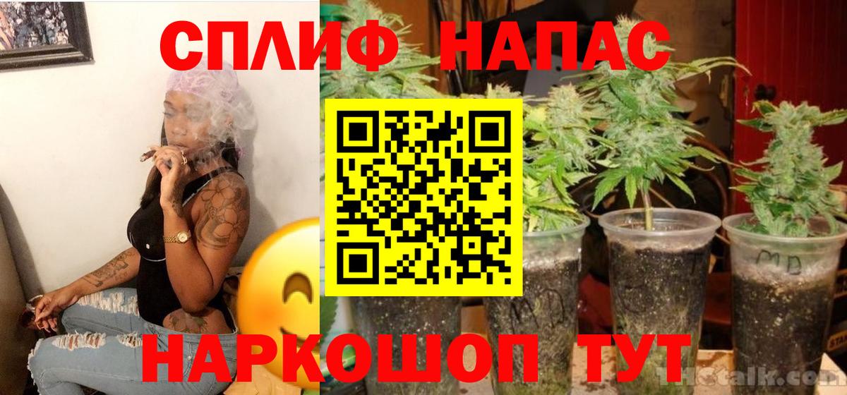 Шишки марихуана план  Вход с VPN  Бошки Шишки LSD WEED  Каннабис OG Kush  Полысаево 